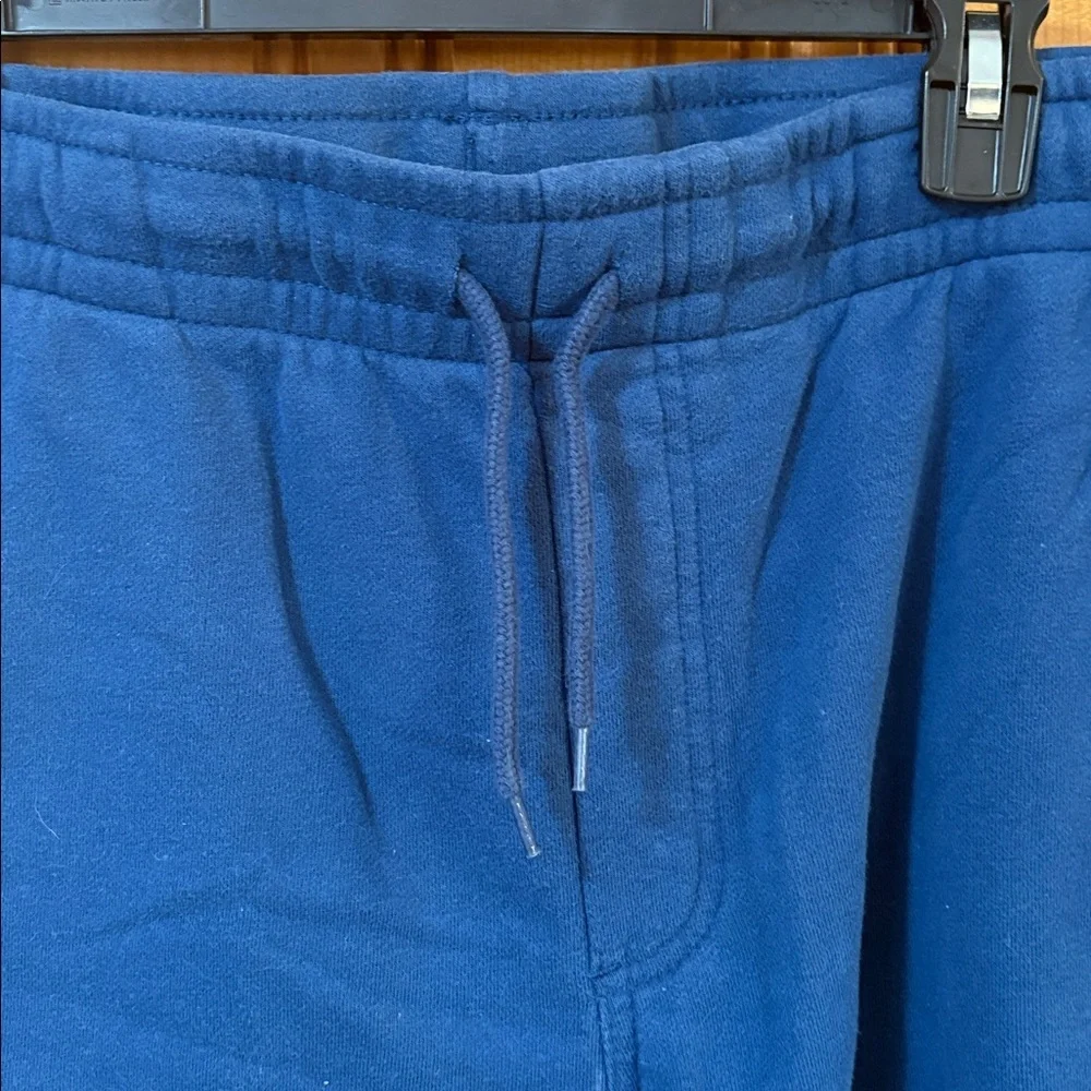 Goodfellow & Co Slate Blue Shorts